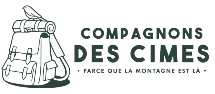 Capture d'écran 2025-08-01 094349